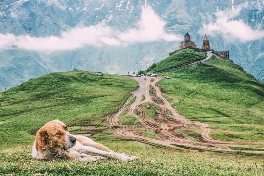 Kazbegi trip